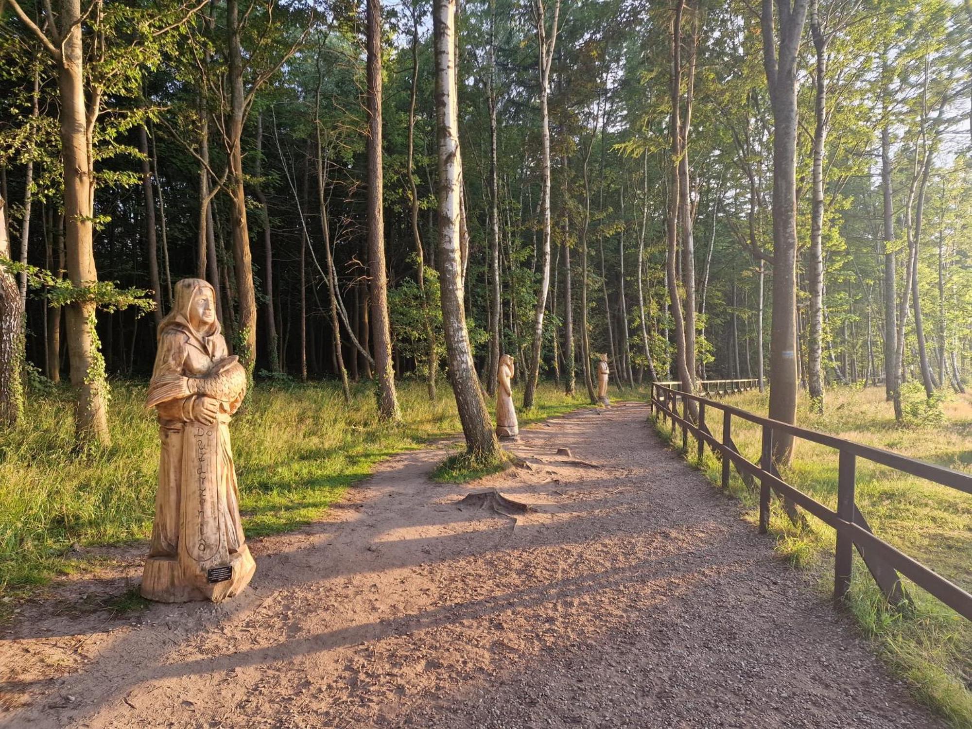 Osrodek Promenada- Domki Jastrzębia Góra Kültér fotó